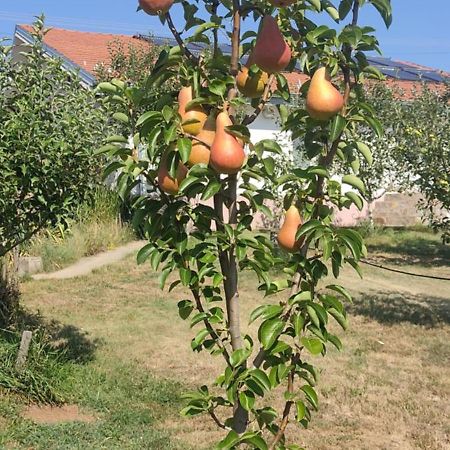 Hotel Cider&Squash, Grncarska 8, Prnjavor Batocina Εξωτερικό φωτογραφία