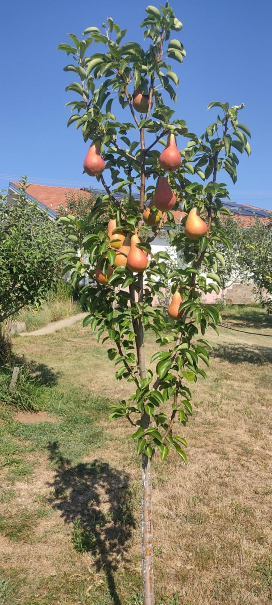 Hotel Cider&Squash, Grncarska 8, Prnjavor Batocina Εξωτερικό φωτογραφία