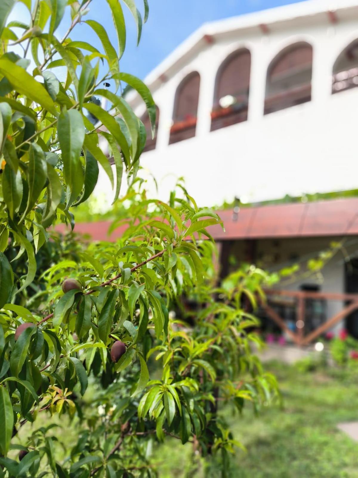 Hotel Cider&Squash, Grncarska 8, Prnjavor Batocina Εξωτερικό φωτογραφία