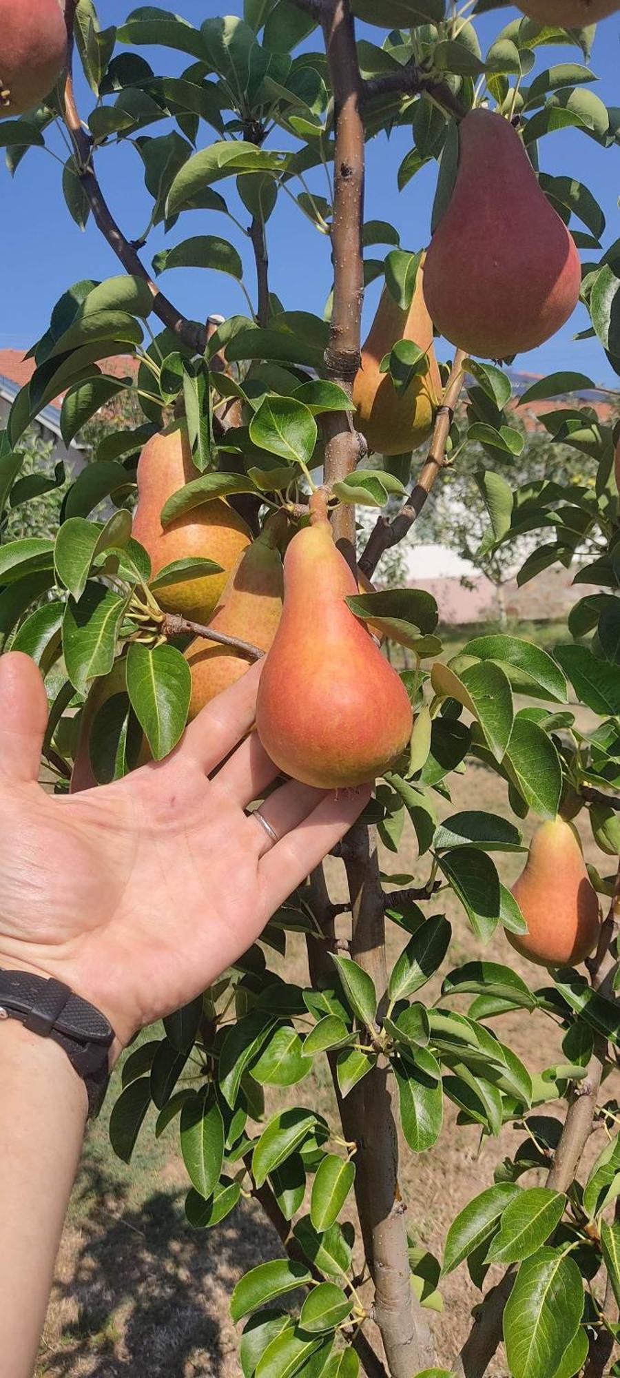Hotel Cider&Squash, Grncarska 8, Prnjavor Batocina Εξωτερικό φωτογραφία