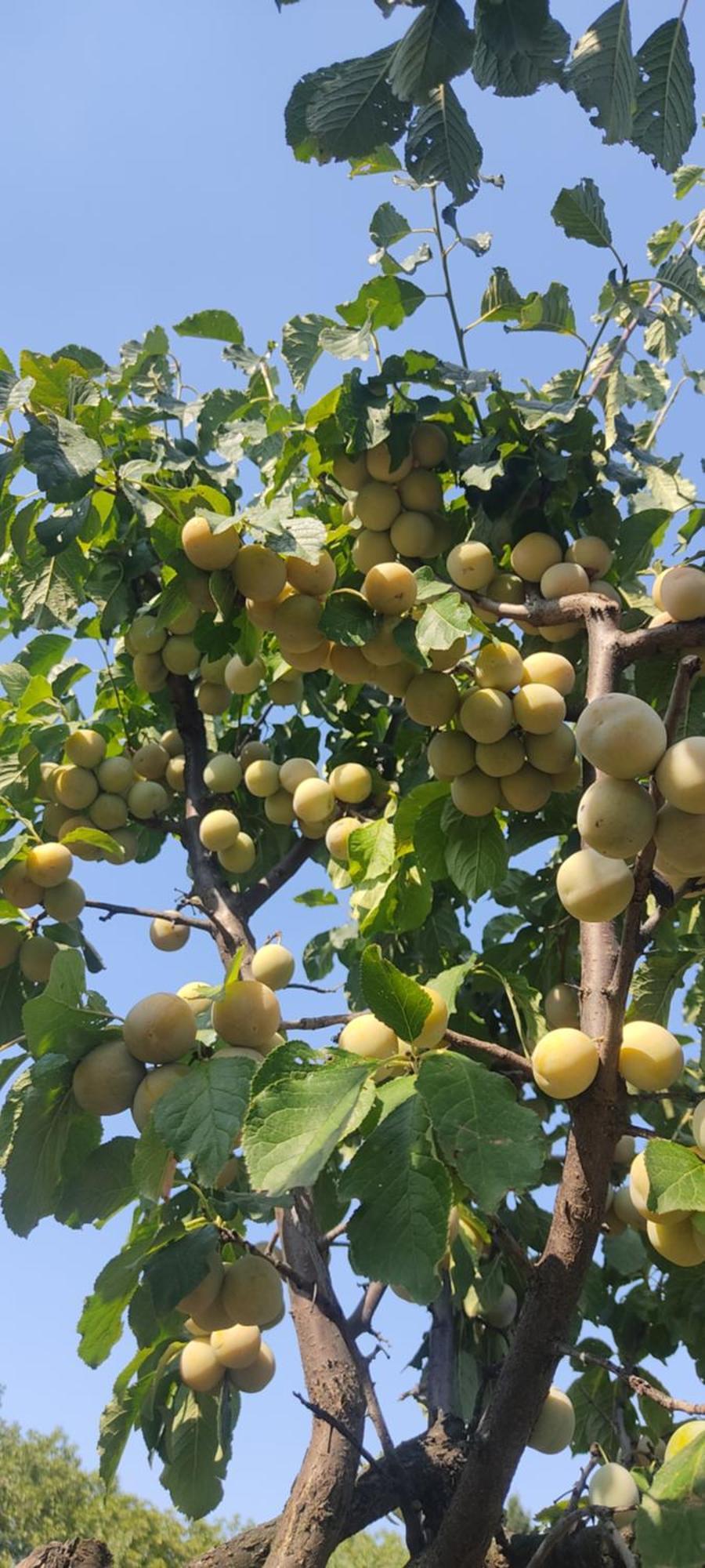 Hotel Cider&Squash, Grncarska 8, Prnjavor Batocina Εξωτερικό φωτογραφία